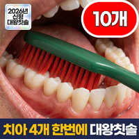 한 번 쓱, 전체 케어 한번에 이빨 닦는 대왕 헤드 미세모 칫솔 세트