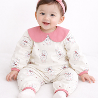 보드라미 미술가운