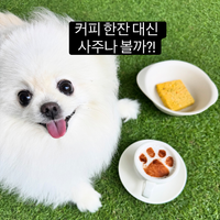 족집게 사주보고 리뷰 올려주실분!
