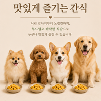 고쌀감단 이름에서 느껴지는 건강함