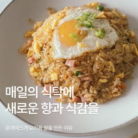 윤라이스 신제품 레시피 리뷰 캠페인