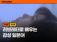 러브레터로 배우는 감성 일본어 100일